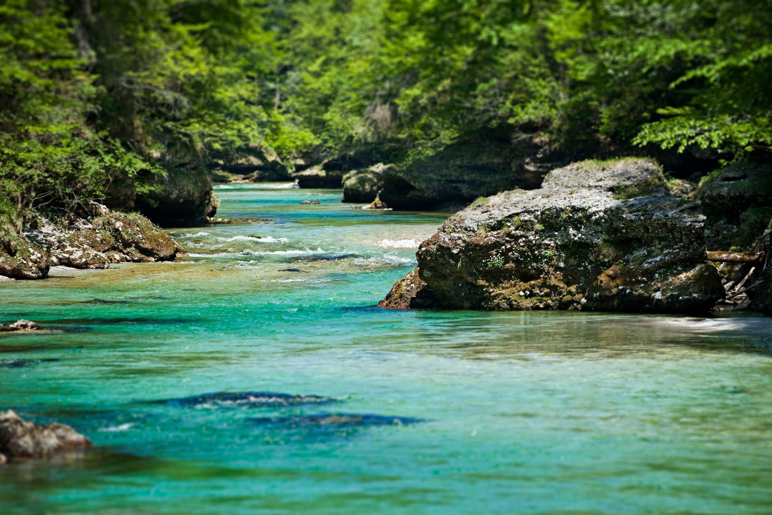 Environmental